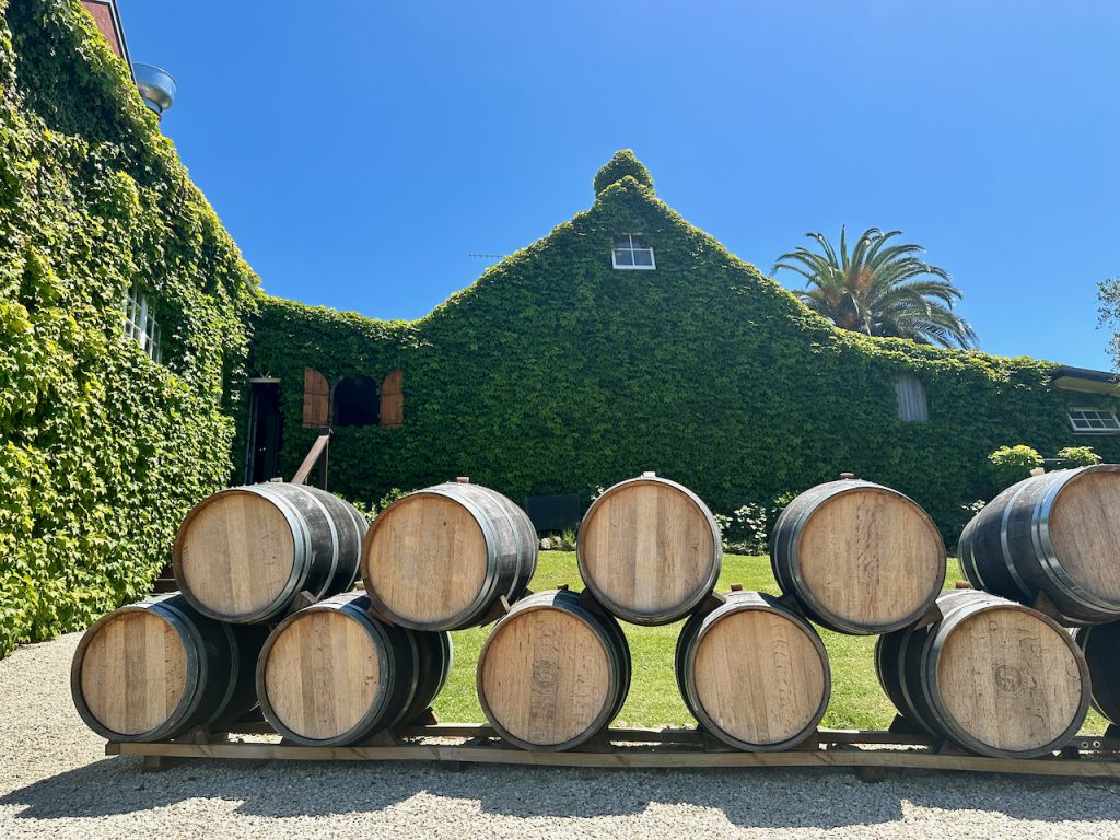 Wine barrels at Stonyridge Vineyard, Waiheke Island, Auckland, New Zealand