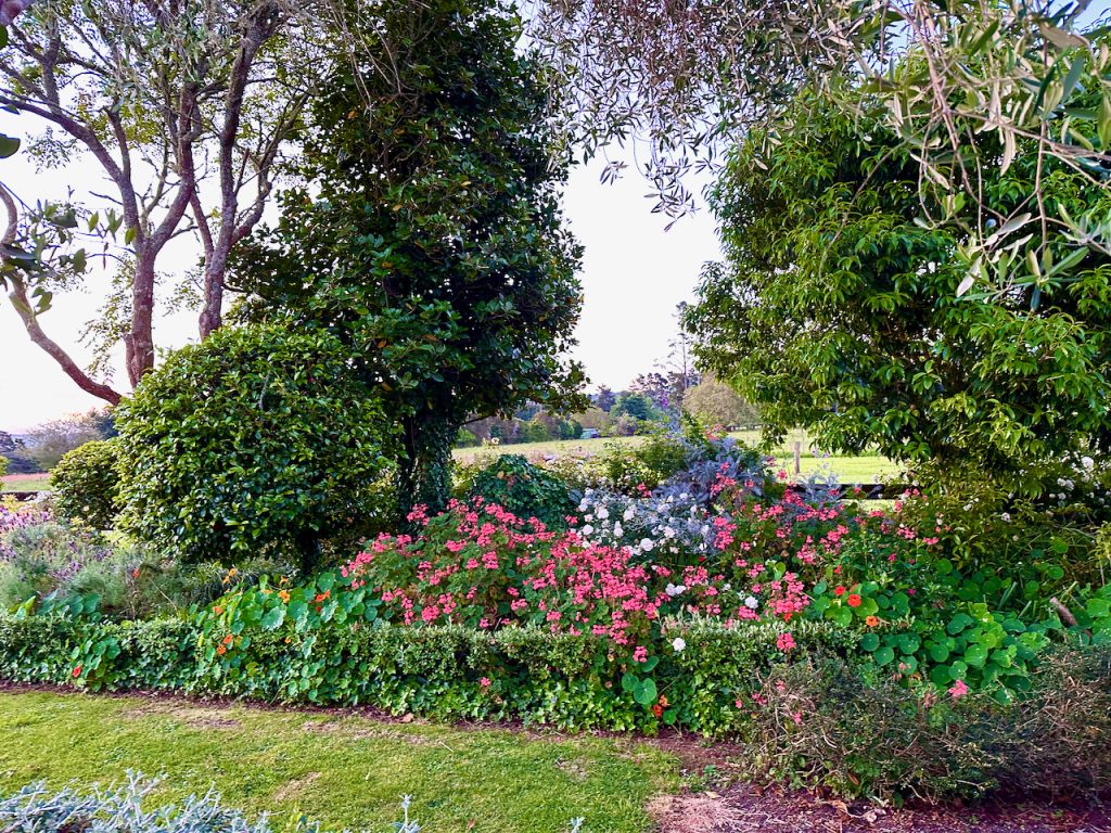 Garden in Pōkeno South of Auckland, New Zealand