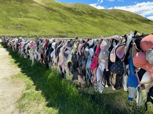 Bras for NZ Breast Cancer Awareness, Cardrona Distellery, Cardrona, South Island, New Zealand