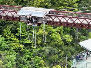 Bungee jumping in south New Zealand