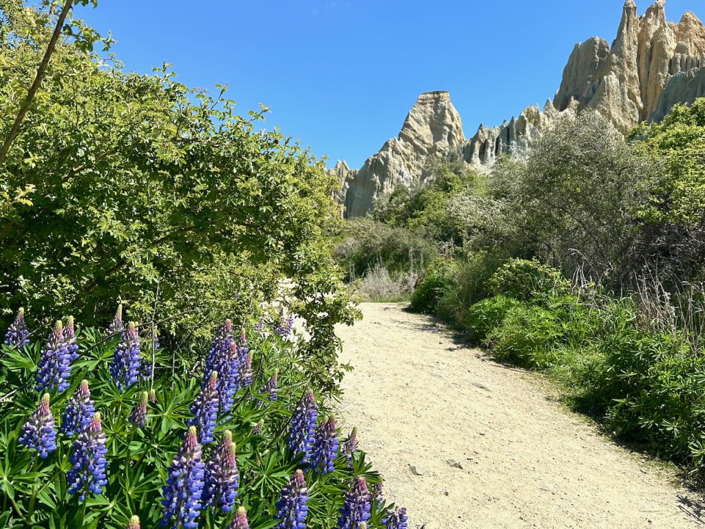 Clay Cliffs at Omarama, South Island New Zealand