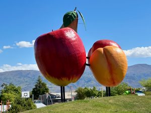 Cromwell, a New Zealand fruit growing town