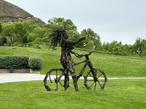 Garden of Chard Valley Winery, South New Zealand