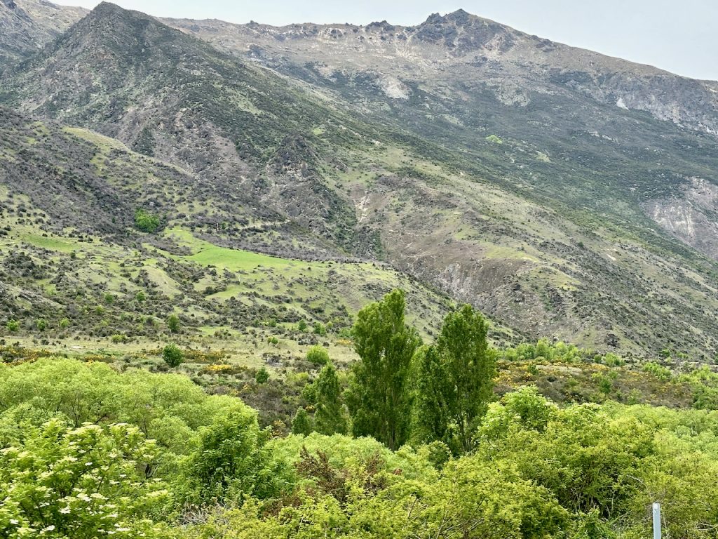 Road from Cromwell to Queenstown