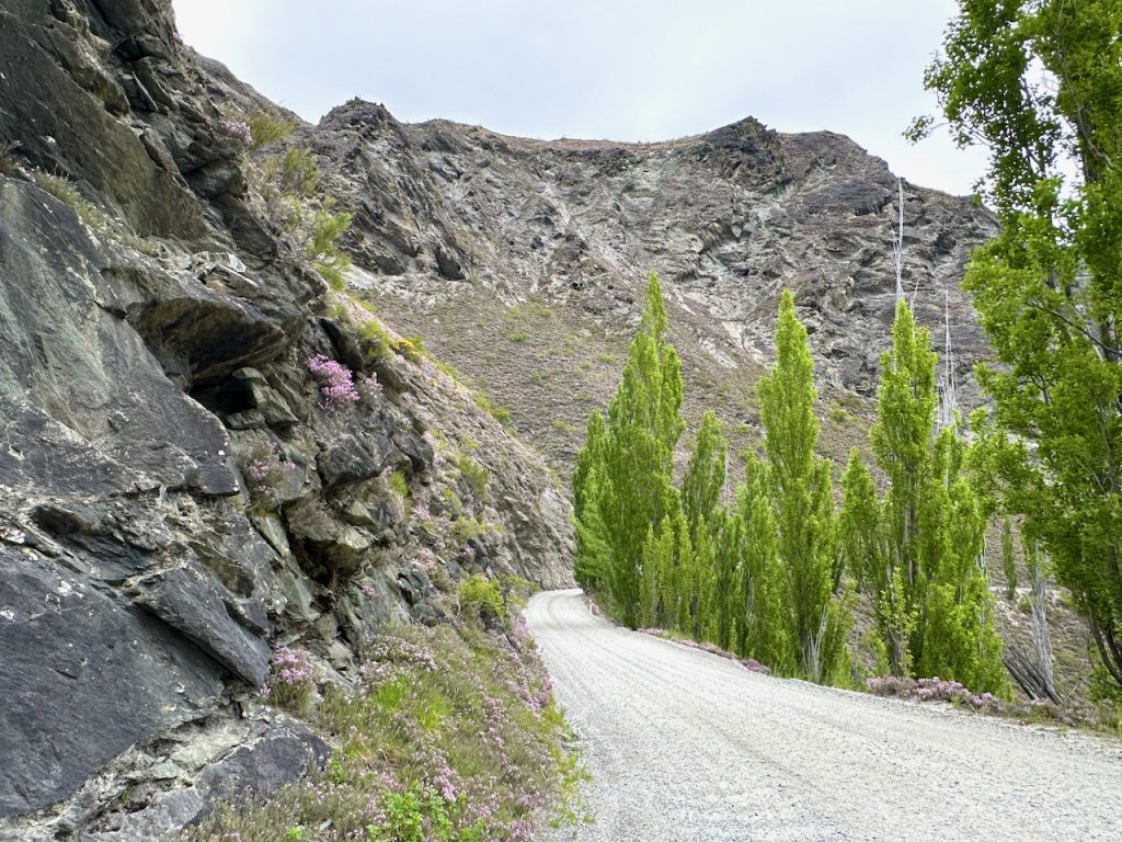 Road to Chard Farm Winery, South New Zealand