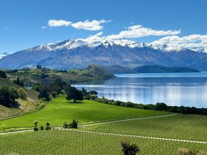 View of Lake Wanaka from Rippon Winery Wanaka, South Island, New Zealand