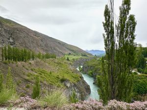The Road to Chard Farm Winery, South New Zealand