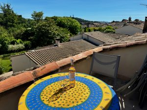 View from the terrace in our village house for rent in Lourmarin, Provence