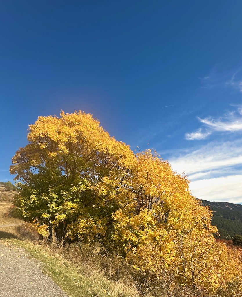 On drive to Col du Granon, les Hautes-Alpes, Serre Chevalier,Provence, France