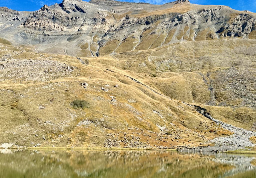 Sheep at Lac du Pontet, La Grave, Serre Chevalier, Les Hautes-Alpes, Provence, France