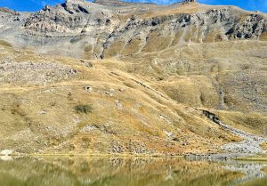 Sheep at Lac du Pontet, La Grave, Serre Chevalier, Les Hautes-Alpes, Provence, France