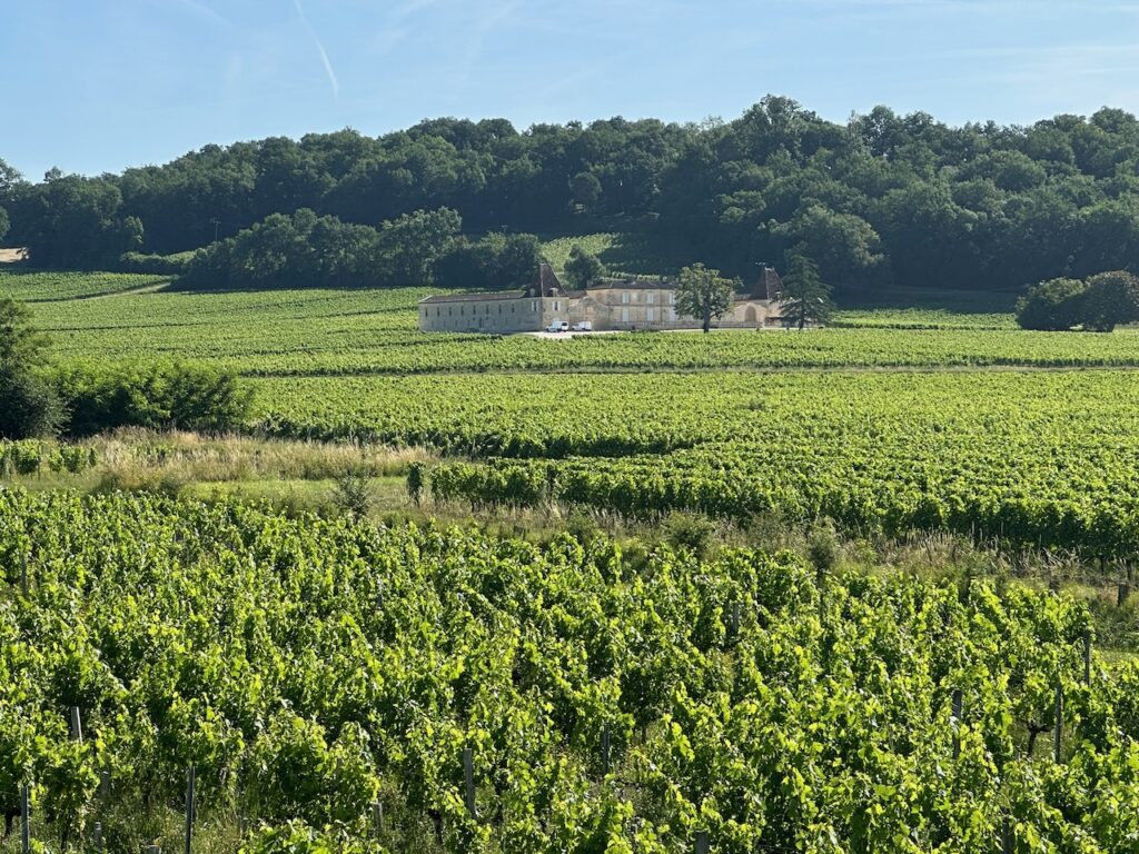 Vineyards of Saint-Émilion, Coteaux of Dordogne, Western France