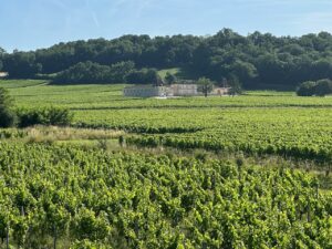 Vineyards of Saint-Émilion, Coteaux of Dordogne, Western France