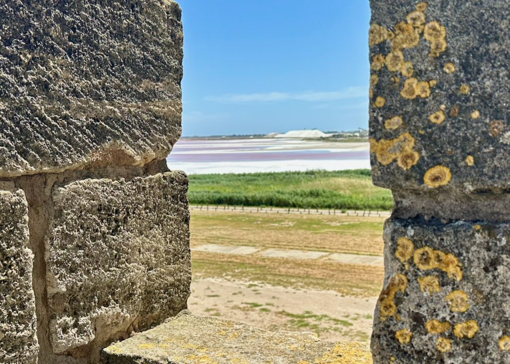 Salt marshes from the Ramparts of Aigues-Mortes,by the Mediterranean Salt Marshes