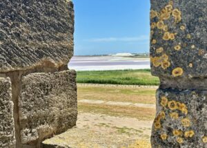 Salt marshes from the Ramparts of Aigues-Mortes,by the Mediterranean Salt Marshes