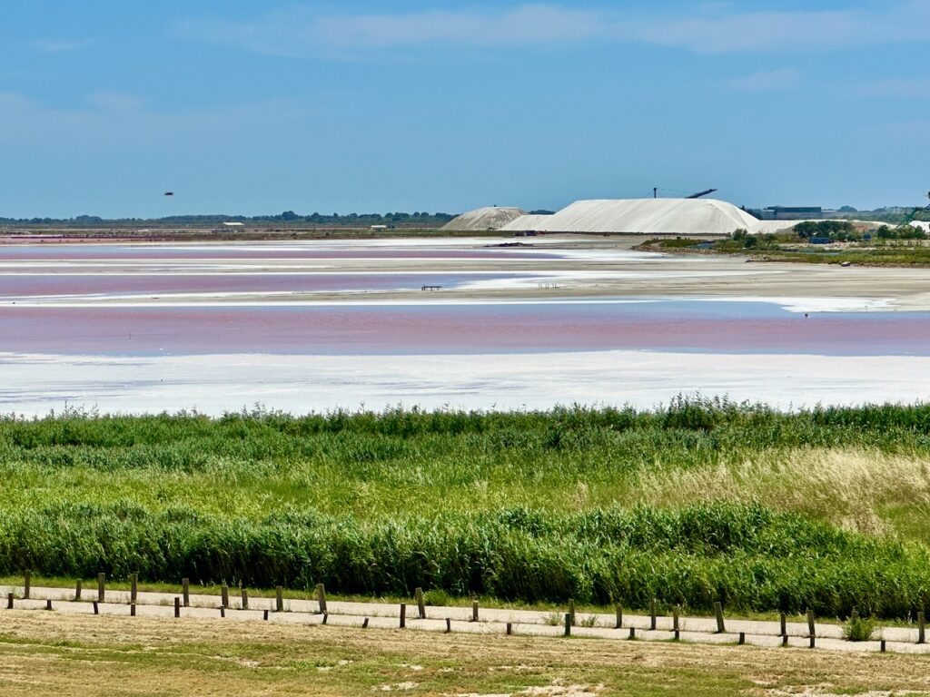 Salt marshes of Aigues Mortes, Gard, Languedoc Roussillon, France