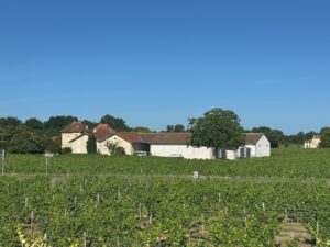 Wine Domaine in Saint-Émilion, Coteaux of Dordogne, Western France
